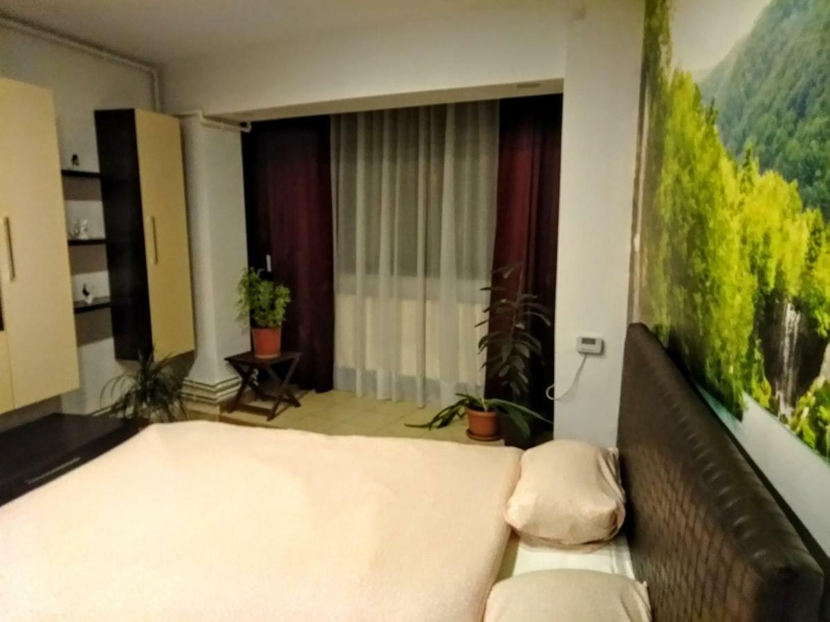 Cozy Downtown Oasis Daire Bükreş Dış mekan fotoğraf