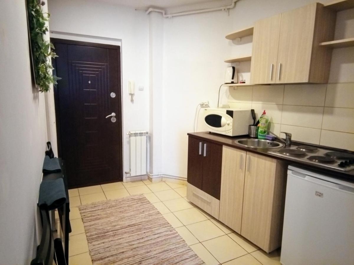 Cozy Downtown Oasis Daire Bükreş Dış mekan fotoğraf